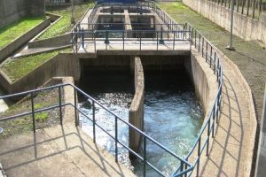 Electromechanical Rize Alt Foto