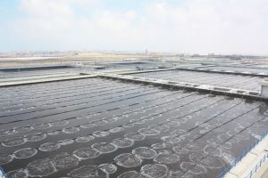 Kırsehir Turnkey Wastewater Treatment Plant