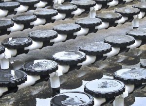 Paşaköy Alt Sol Foto