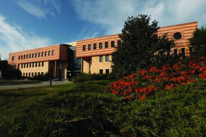 Istanbul Sehir University Building Electrical Installation