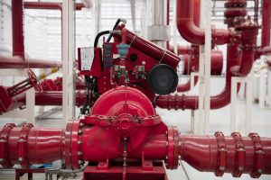 shutterstock_335727647-min